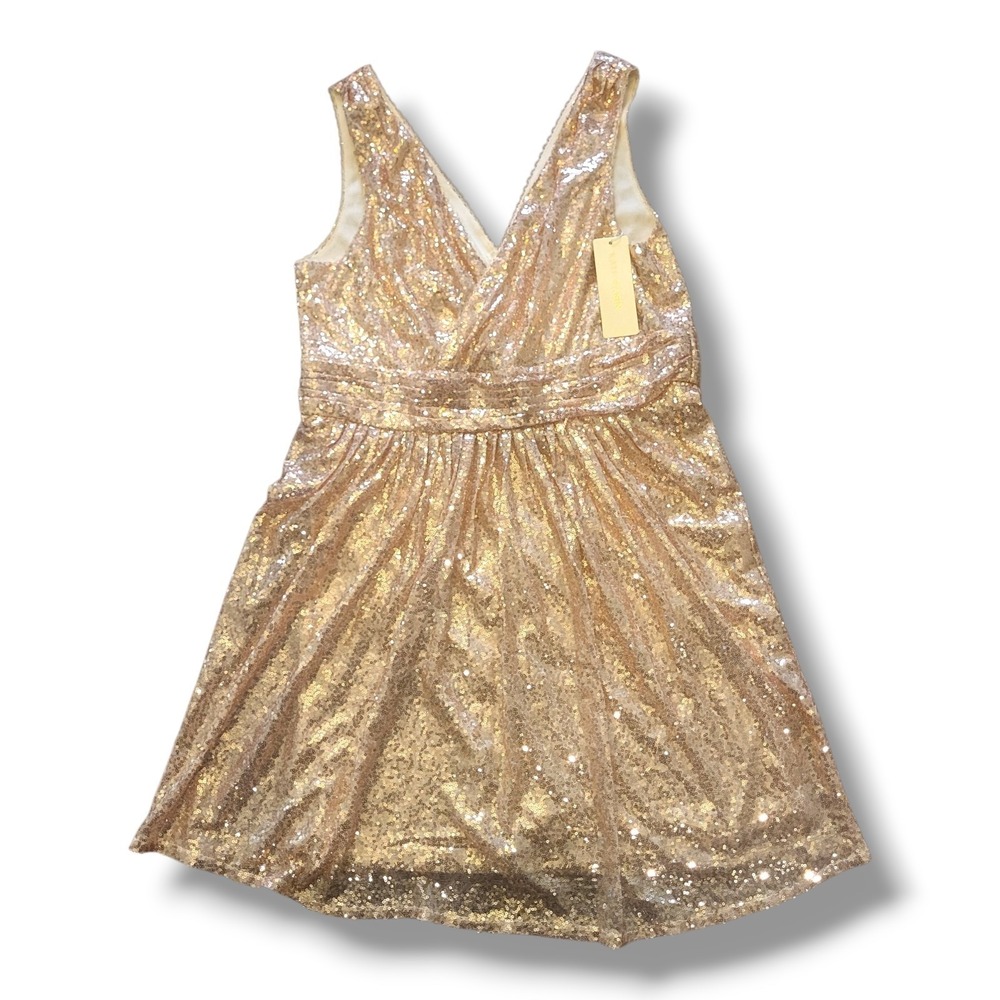 Kate Kasin Champagne Sequin Midi Dress 18W Deep V Gathered Waist NWT
